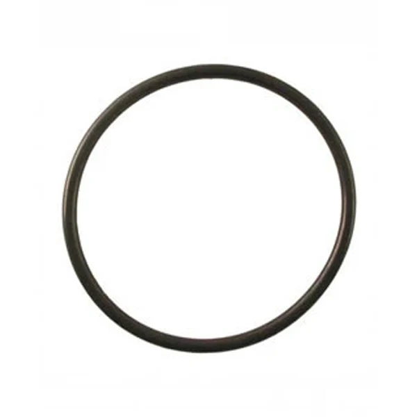 JOINT TORIQUE FILTRE DELUXE