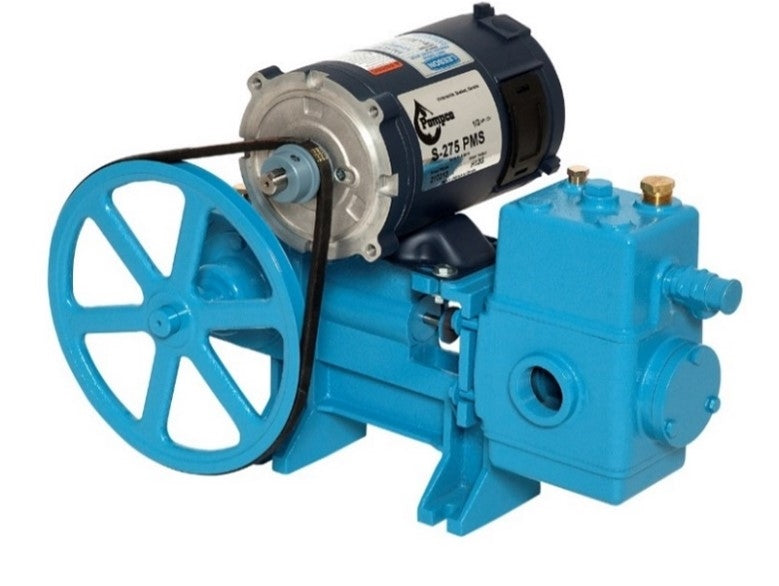 S-275 PISTON PUMP WITH 12V MOTOR