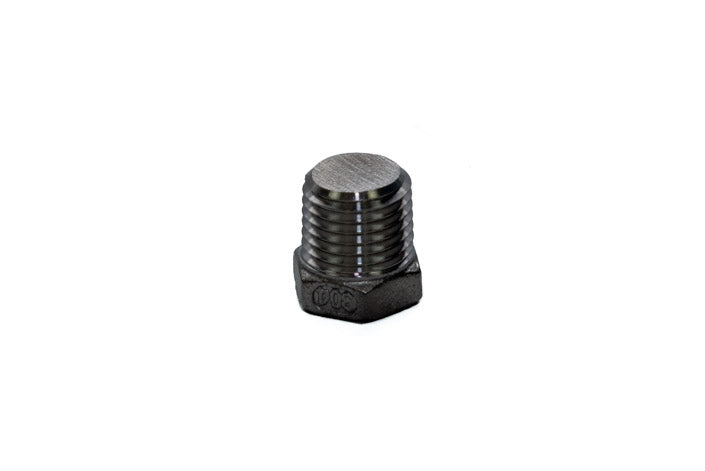 1/4" N.P.T. HEX. S/S PLUG